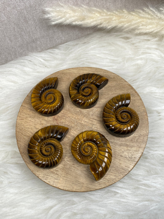 Tigerauge Ammoniten Carvings