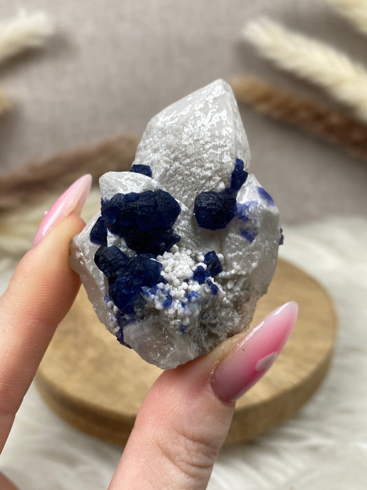 Blaubeer Fluorit auf Quarz (4)