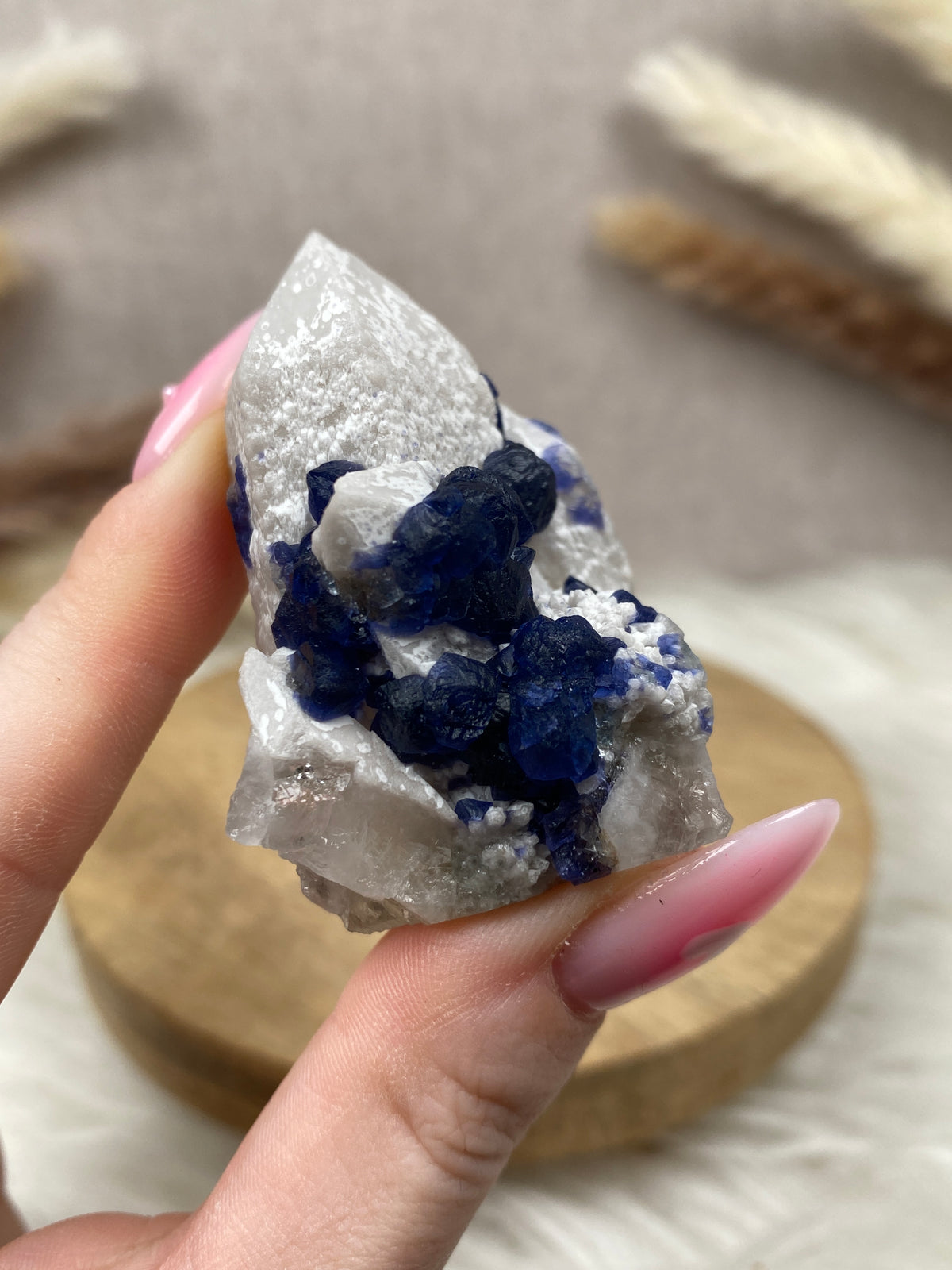 Blaubeer Fluorit auf Quarz (4)