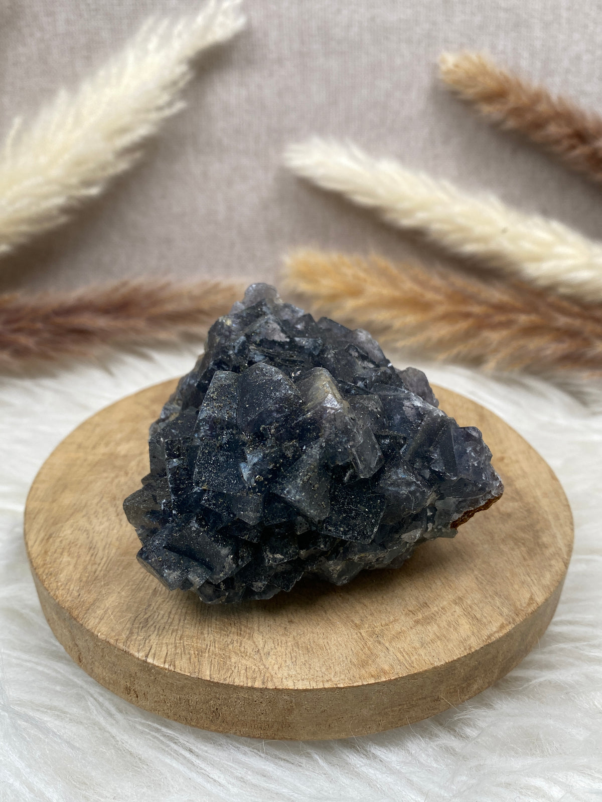 Fluorit mit Pyrit Cluster (1)