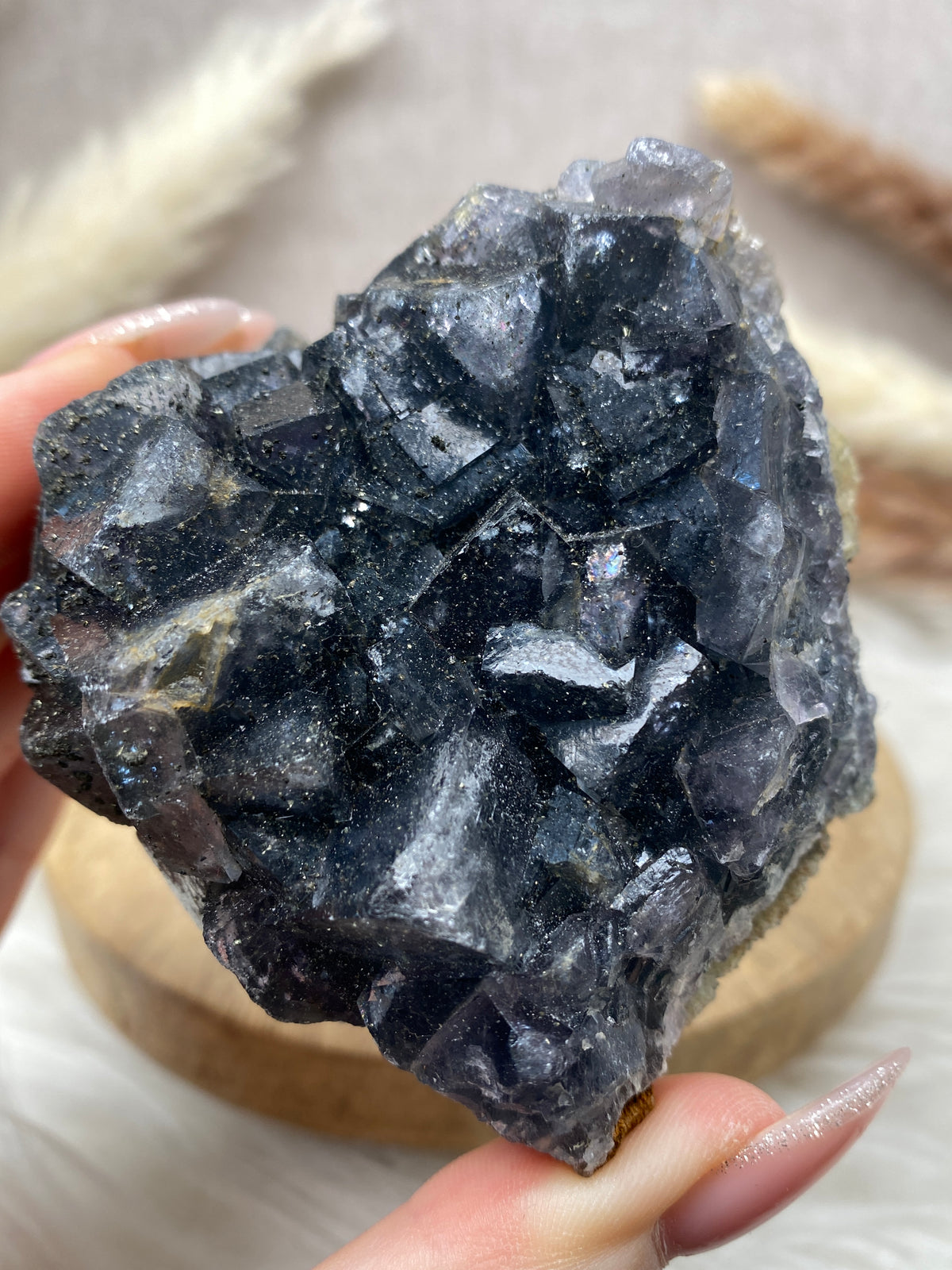 Fluorit mit Pyrit Cluster (1)