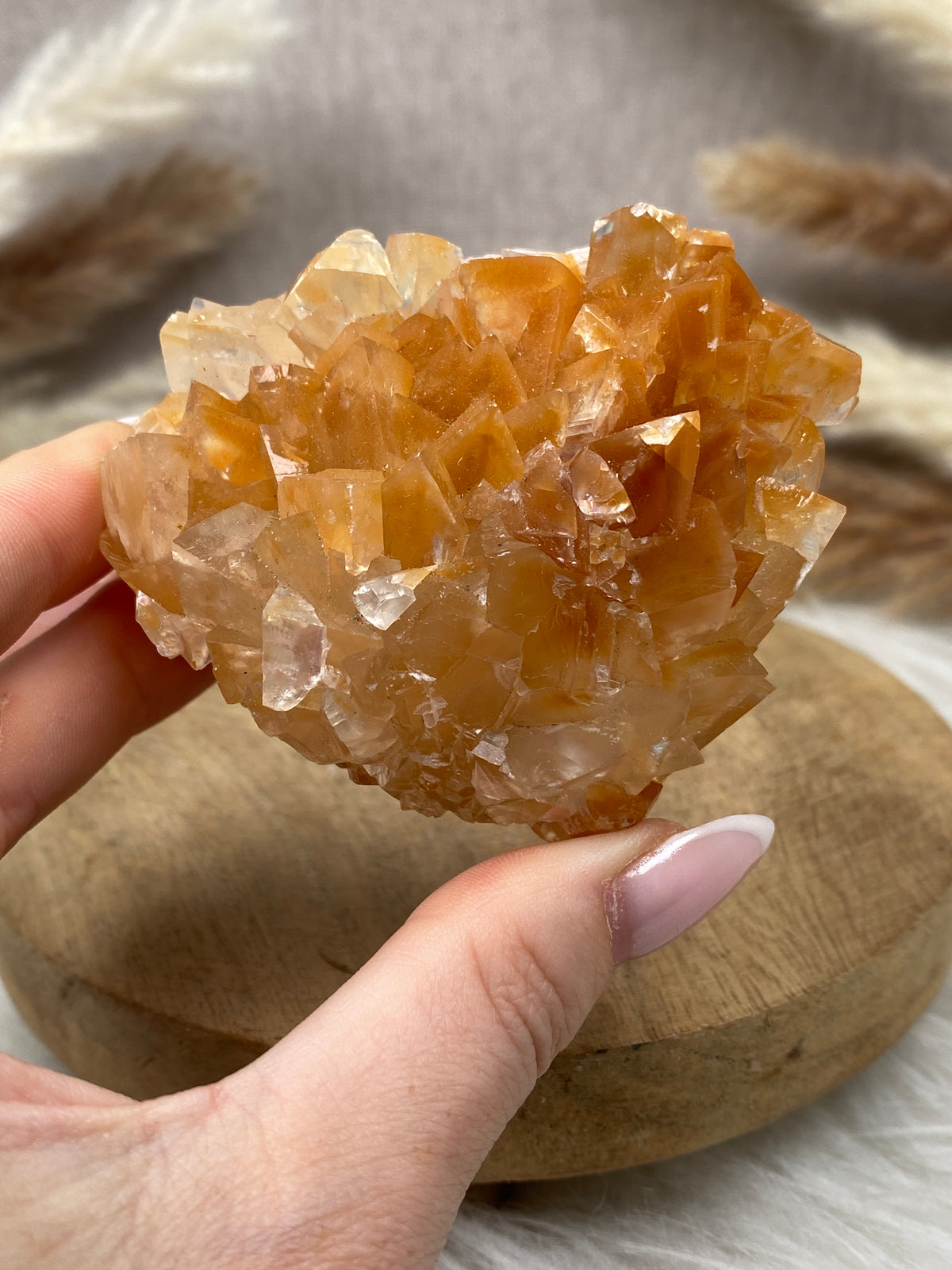 Orangencalcit Stufe (4)