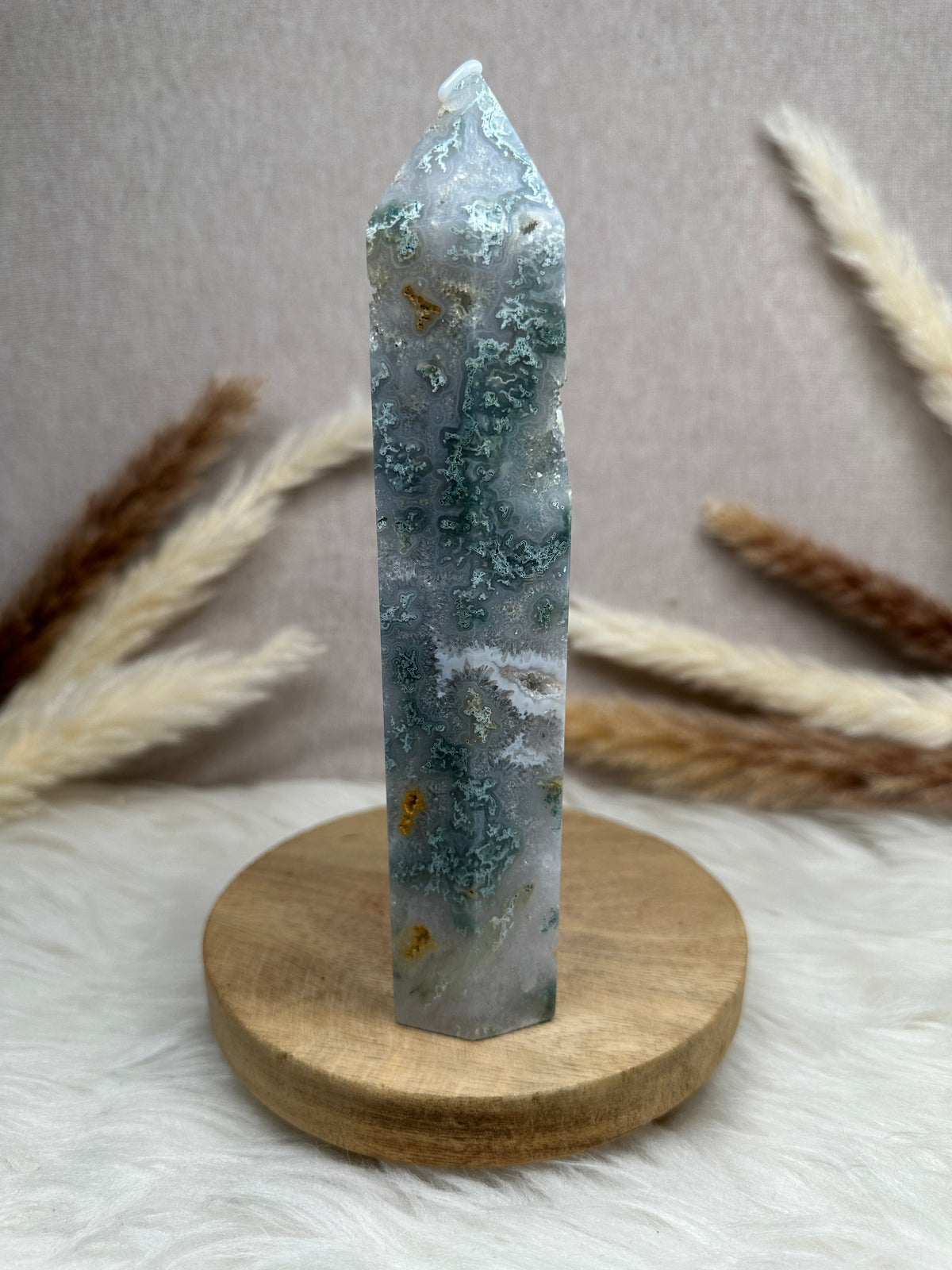 XL Moosachat Turm (1)