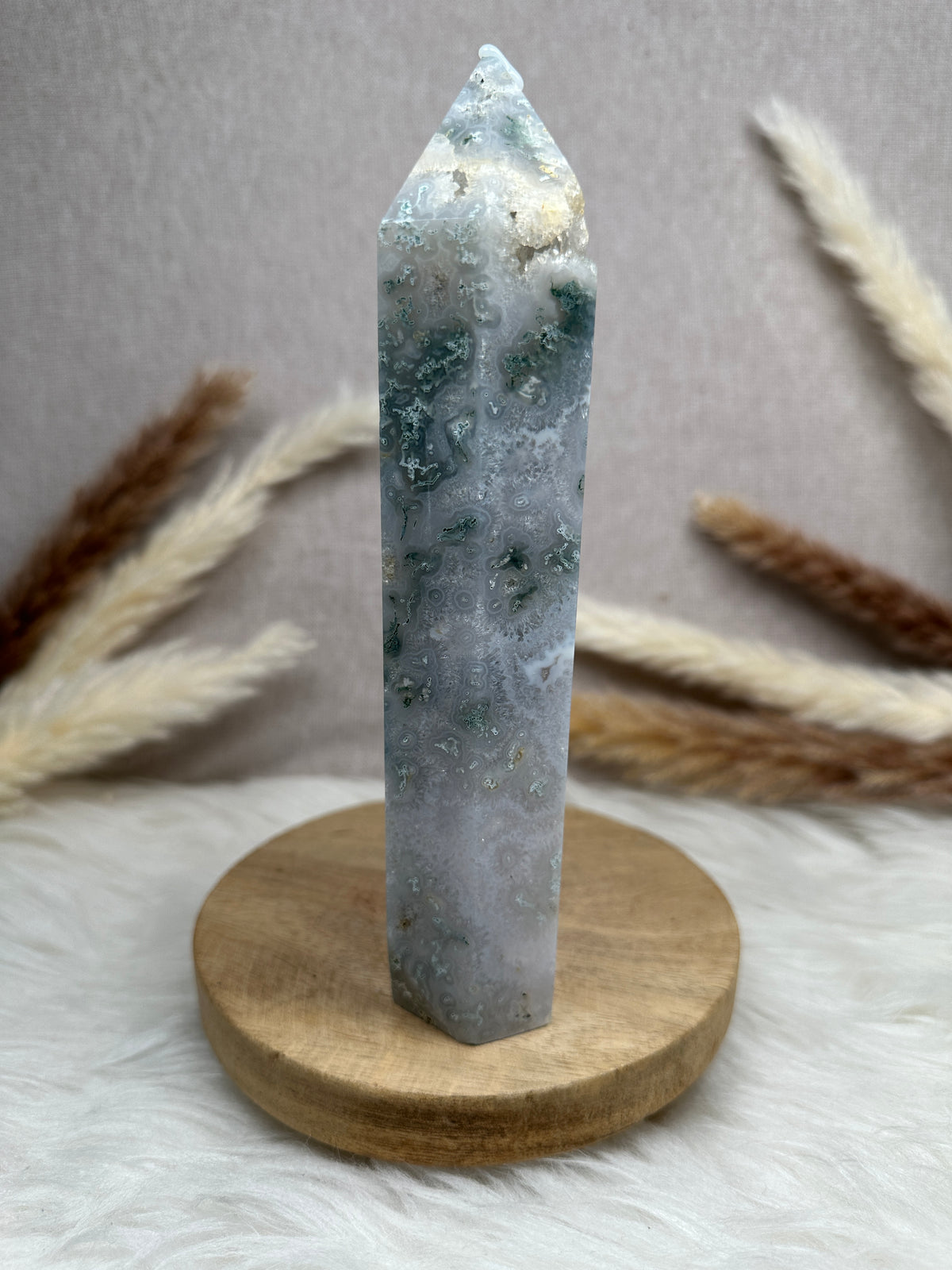 XL Moosachat Turm (1)